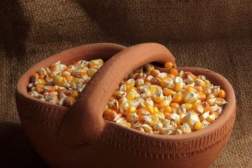 maize