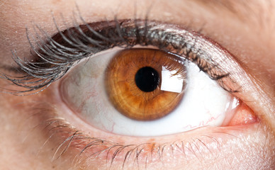 Woman eye