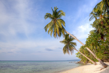 Tropical Beach Karimun jawa Indonesia