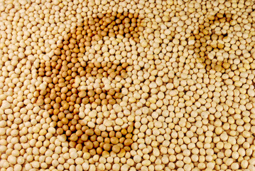 Agrarrohstoff Sojabohnen mit Euro-Zeichen