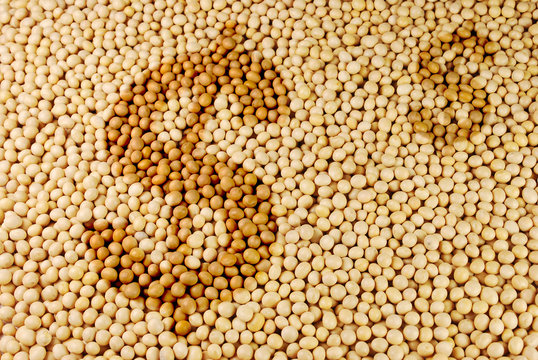 Agrarrohstoff Sojabohnen mit Dollar-Zeichen