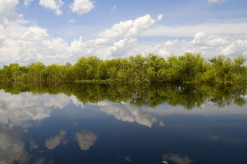 The Everglades Florida USA