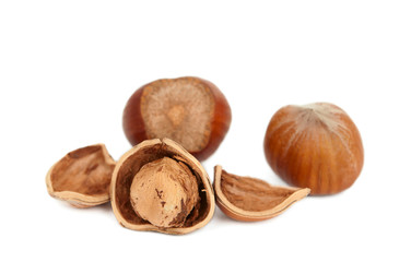 hazelnuts isolated