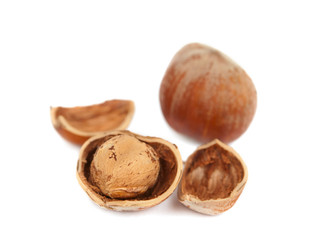 hazelnuts