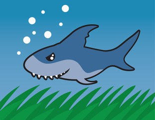 Shark swimming through the ocean.