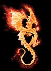 Photo sur Aluminium Dragons dragon brûlant isolé