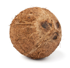 single coconut