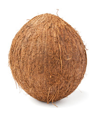single coconut