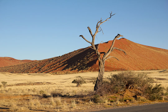 Sandwüste Namibia