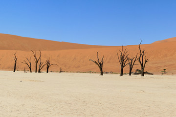 Fototapeta na wymiar Sossusvlei Wüste