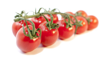 petite grappe de tomates