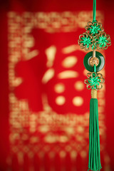 Chinese new year decoration