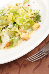 vegetable salad with croutons