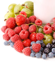 different kinds of berries