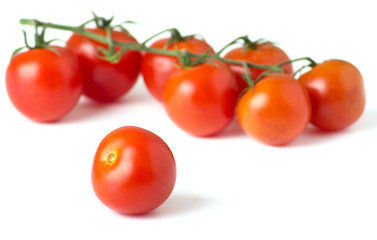Ripe fresh cherry tomatoes on branch