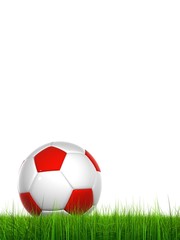 Fototapeta na wymiar High resolution soccer ball in grass