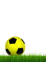 Fototapeta premium High resolution soccer ball in grass