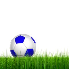 High resolution soccer ball in grass