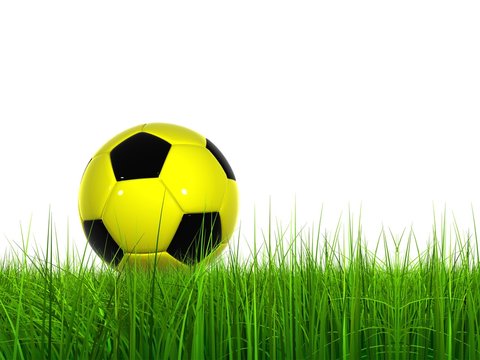 High resolution soccer ball in grass