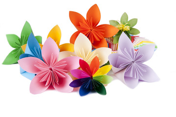 colorful flowers for kusudama on white background