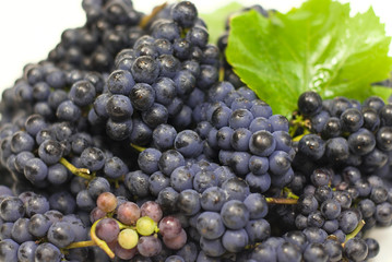 fresh black grapes with leaves on white background