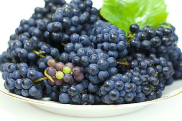 fresh black grapes with leaves on white background