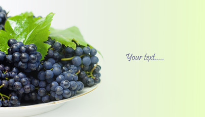 fresh black grapes with leaves on white background