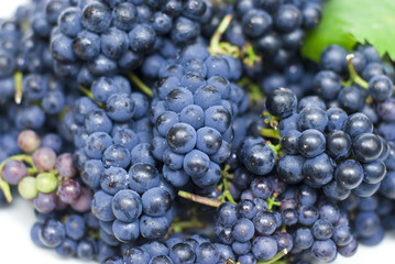 fresh black grapes with leaves on white background