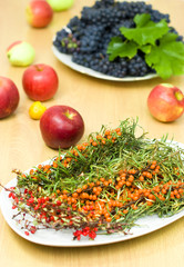 fresh buckthorn with barberry on a background of fruits