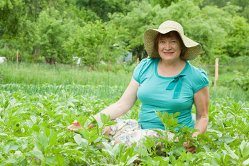 woman  in field of potato