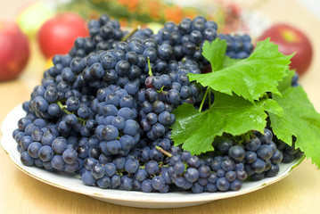 fresh black grape