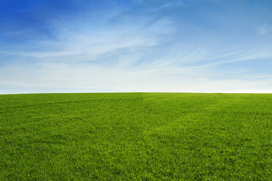 Grass field with blue sky © maxsaf
