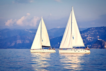 Fototapeta premium Sailing ship yachts with white sails