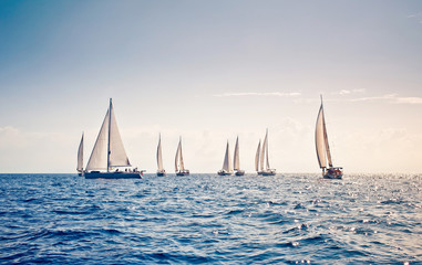 Sailing ship yachts with white sails - obrazy, fototapety, plakaty