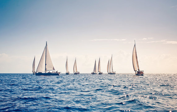 Fototapeta Sailing ship yachts with white sails