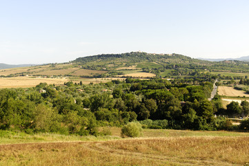 Fototapeta na wymiar Krajobraz w Maremma (Toskania)
