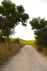 tower and sunflower field