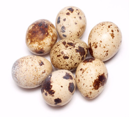 Quail eggs isolated on white