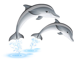 Dolfijnen springen