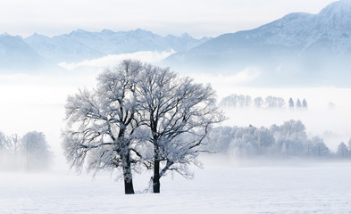 Winter in den Bergen