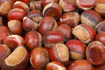 chestnut