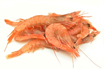 Gambas