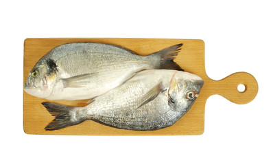 Dorado
