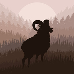 Mountain sheep in wild nature landscape illustration