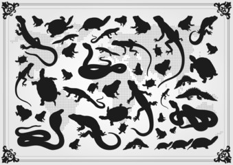 Fototapeta premium Cute amphibian reptile illustration collection background