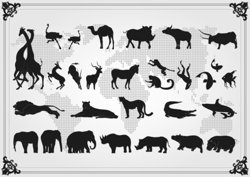 Africa animals illustration collection background