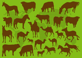 Domestic transport animals illustration collection background