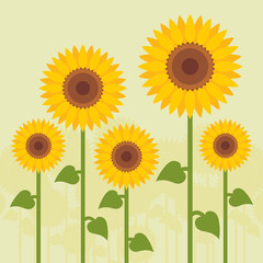 Yellow sunflowers landscape background illustration