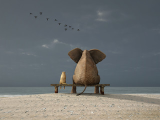 elephant and dog sit on a beach