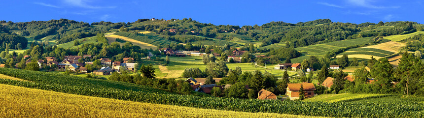Green landscape villsge scenery, with corn and hay fields